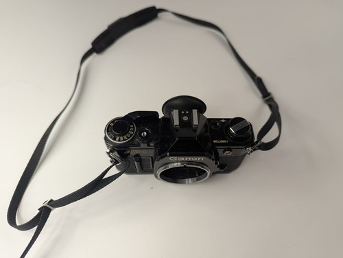 Black canon program - black, 35mm