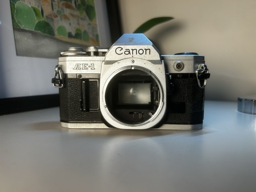 Canon 35mm slr - slr, film
