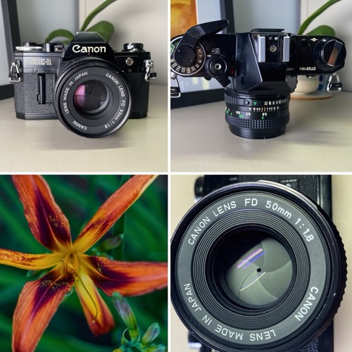 Canon 35mm slr film - canon,
